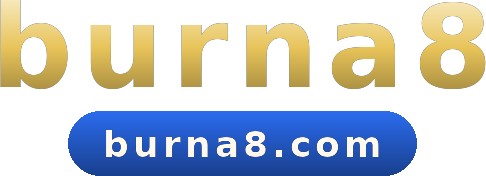 burna8 logo